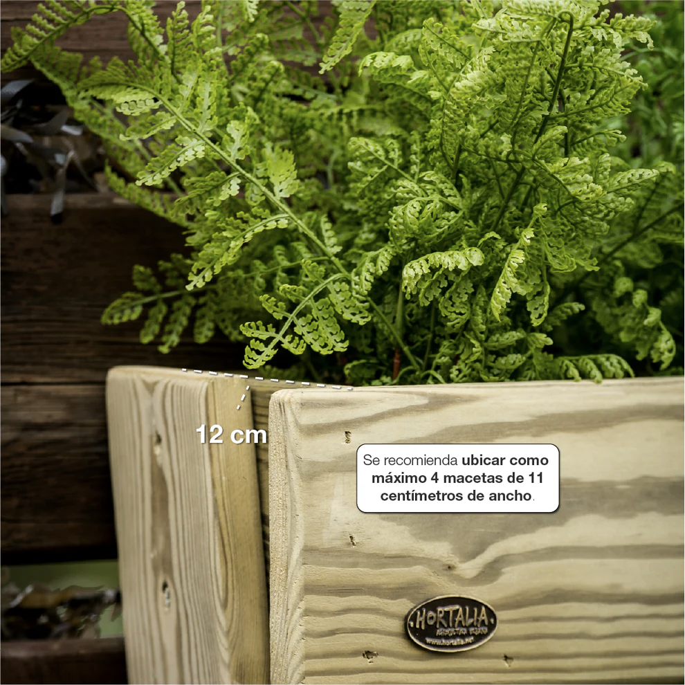 Jardinera Stand Line FLOOR 4B