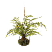 Helecho con soporte metálico. Altura 45 cm (Colgante de techo)