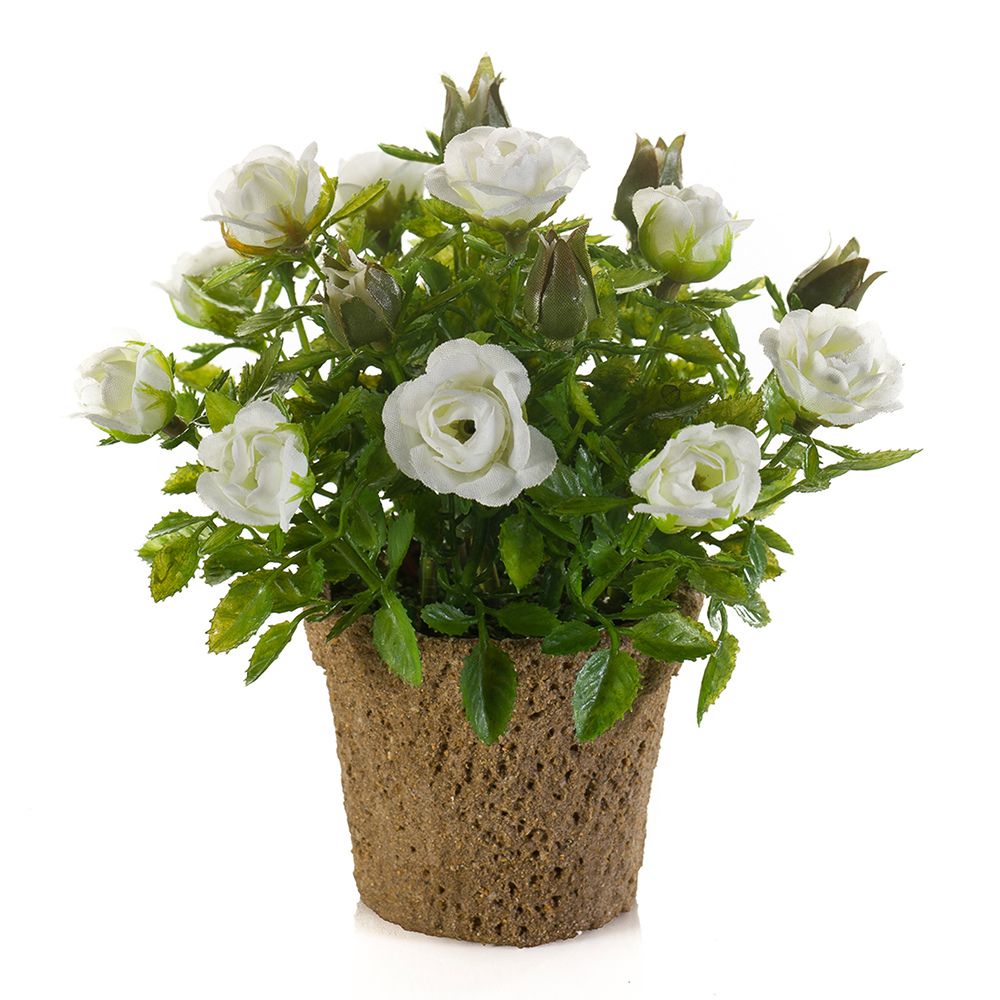 MINI ROSAL de 13 cm de alto con macetero de 7 cm (MINI)