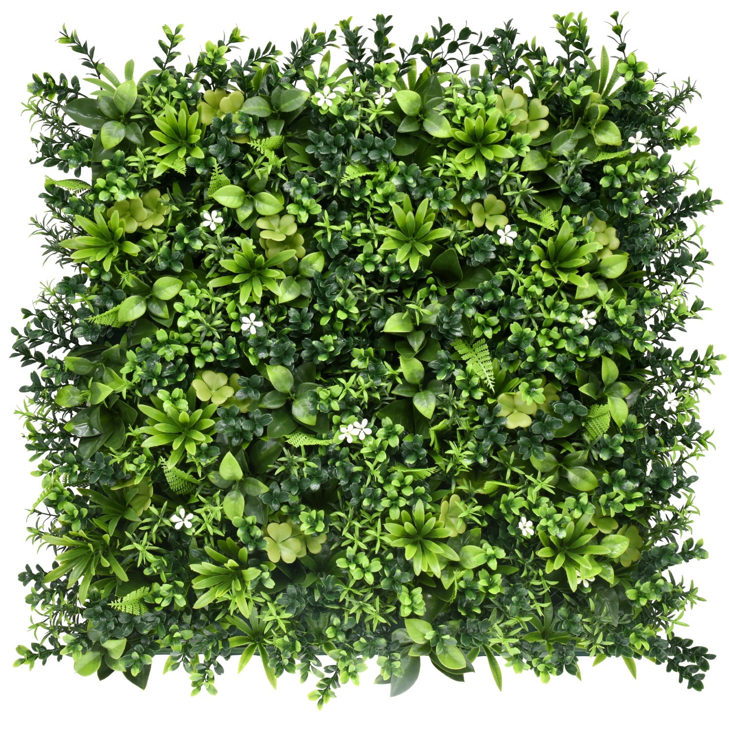 Bonerva | Jardín Vertical México Pack 4 Piezas 50x50cm