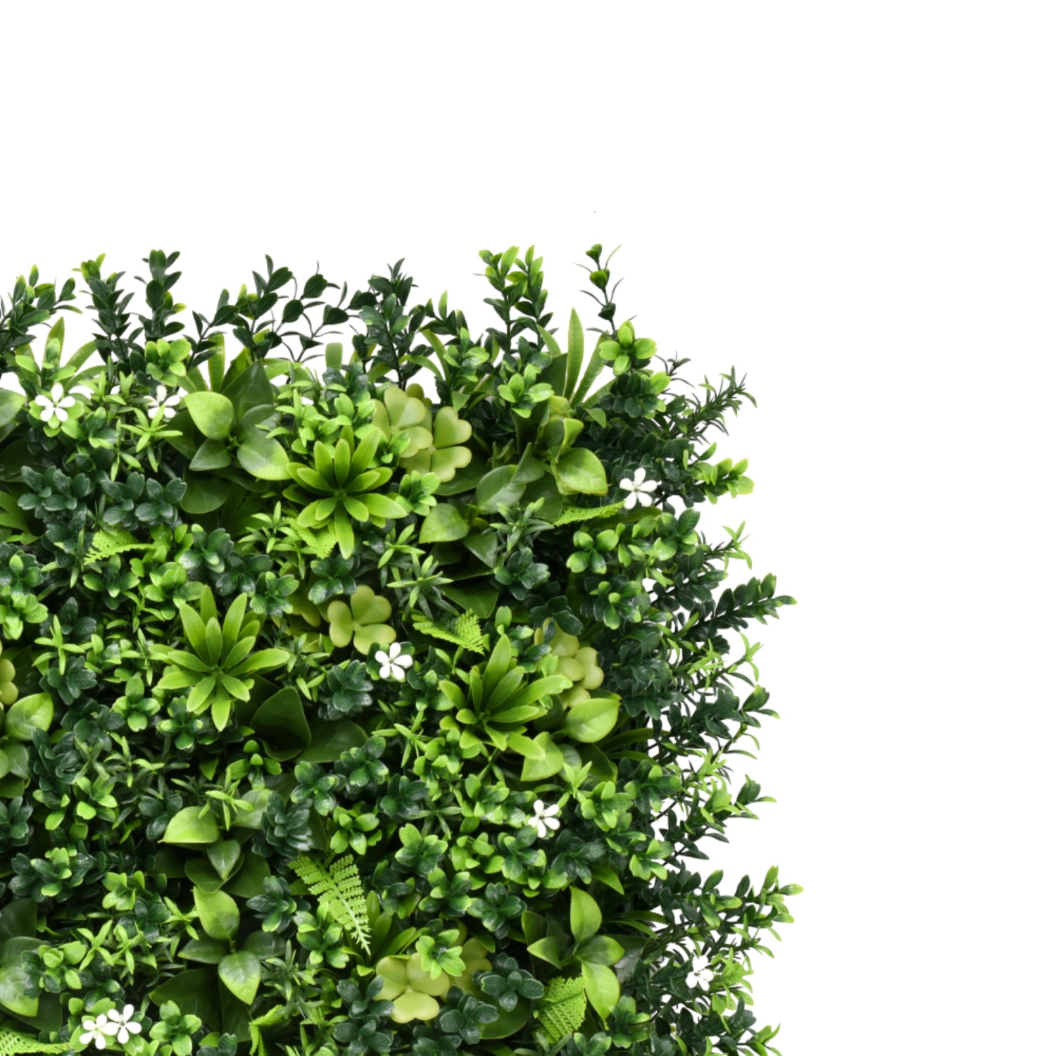 Bonerva | Jardín Vertical México Pack 4 Piezas 50x50cm