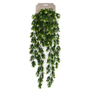 Planta colgante BOJ con bayas de 75 cm (6 unidades)