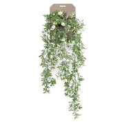 Planta colgante ROSAS BLANCAS, 75 cm (6 unidades)