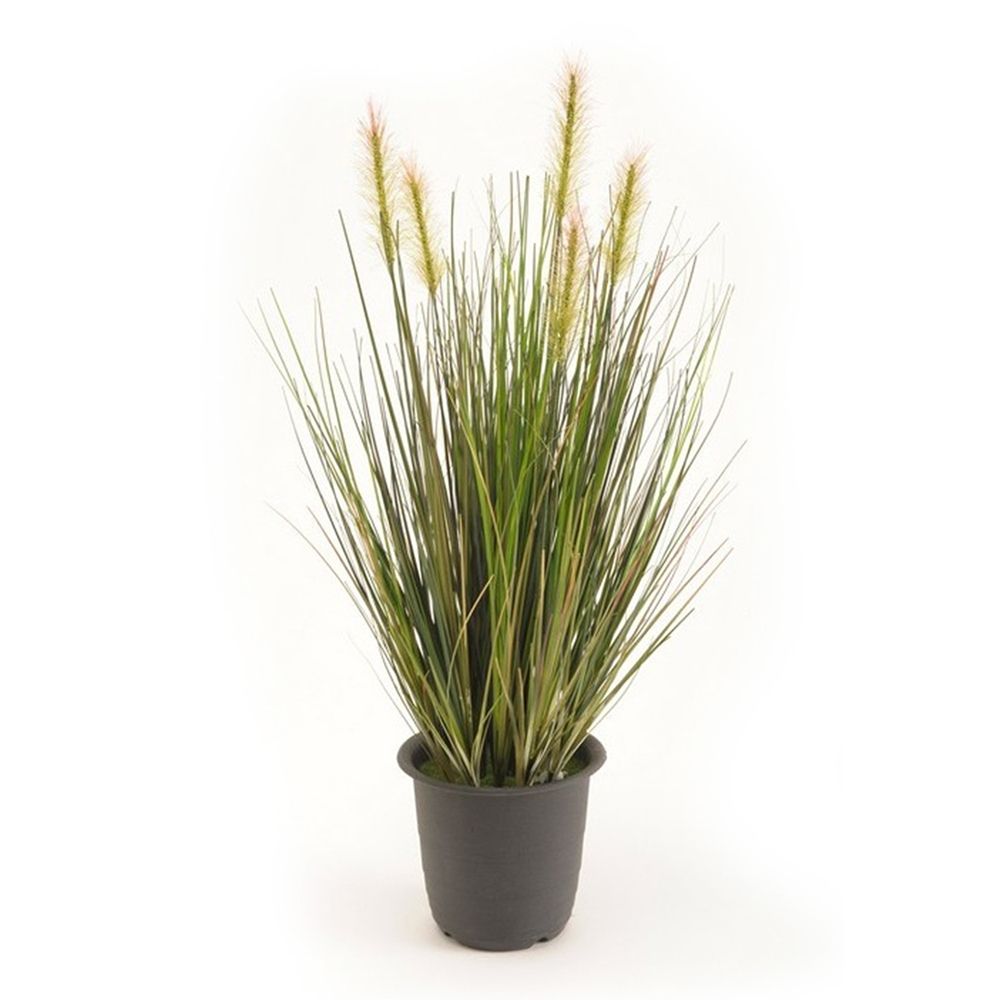 Planta de Hierba Verde de 45 cm de alto