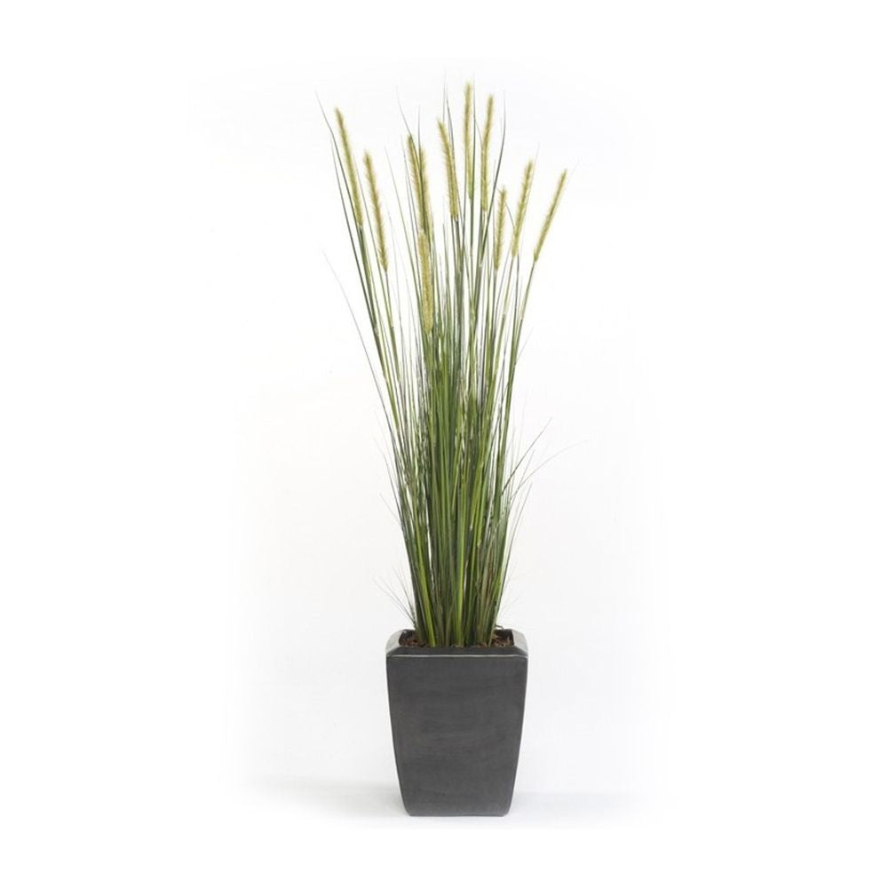 Planta junco acabado ESPIGA ESTRECHA. Altura 95 cm