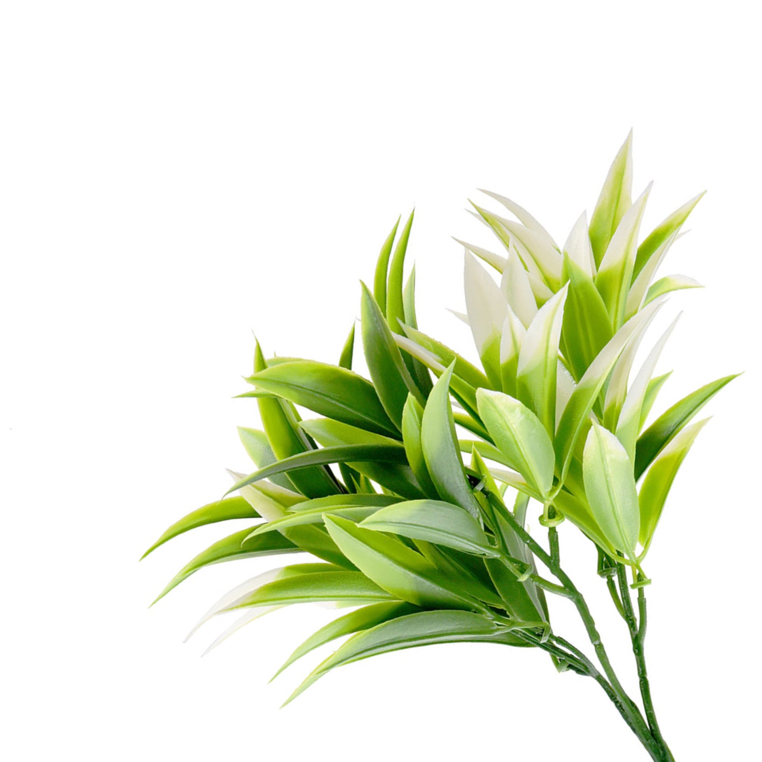 Bonerva | Ramo Artificial Podocarpus - 5 unidades