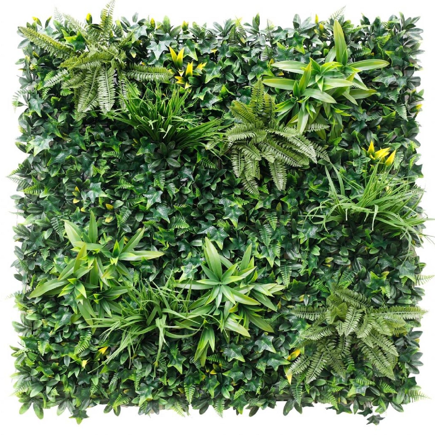 Bonerva | Jardín Vertical 1x1m Salvaje Plus