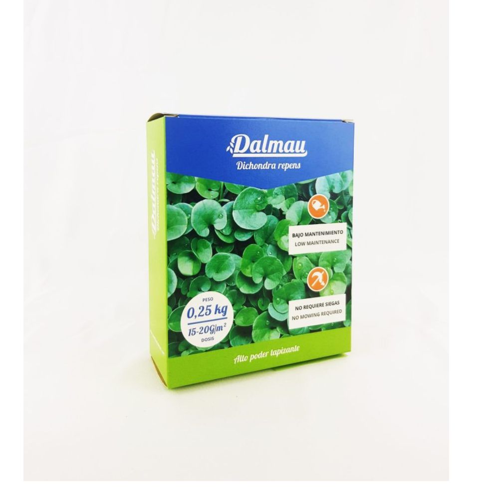 Semillas de Césped  Dichondra - 1 kg