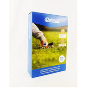 Semillas de Césped  Mezcla Comercial RAY EXPRESS - 1 kg