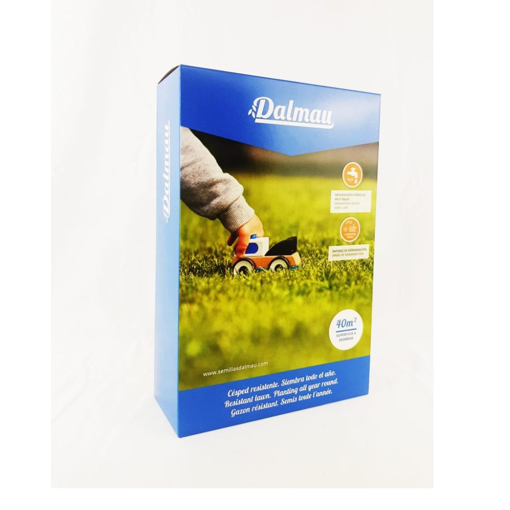 Semillas de Césped  Mezcla Comercial RAY EXPRESS - 1 kg