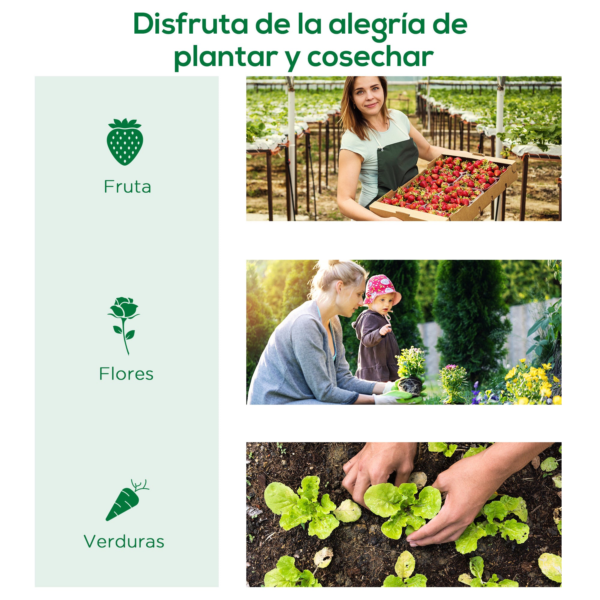 Outsunny Invernadero de Exterior, 200x80x45 cm, Invernadero de Jardín con 4 Ventanas Enrollables de Malla, Marco de Acero y Cubierta de PE 140g/㎡ Anti-UV para Cultivos, Plantas, Flores, Verde